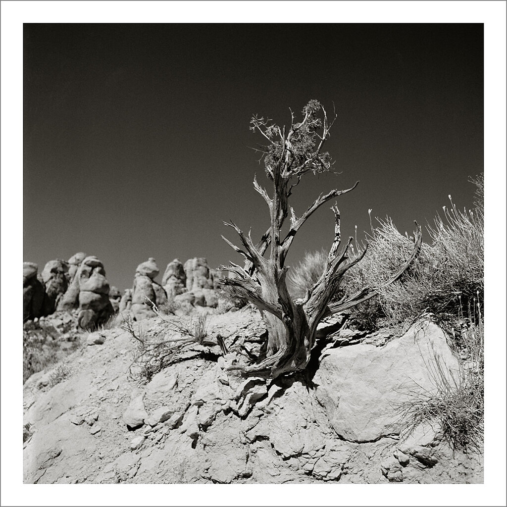 Arches Nat. Park